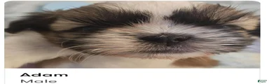 Adam