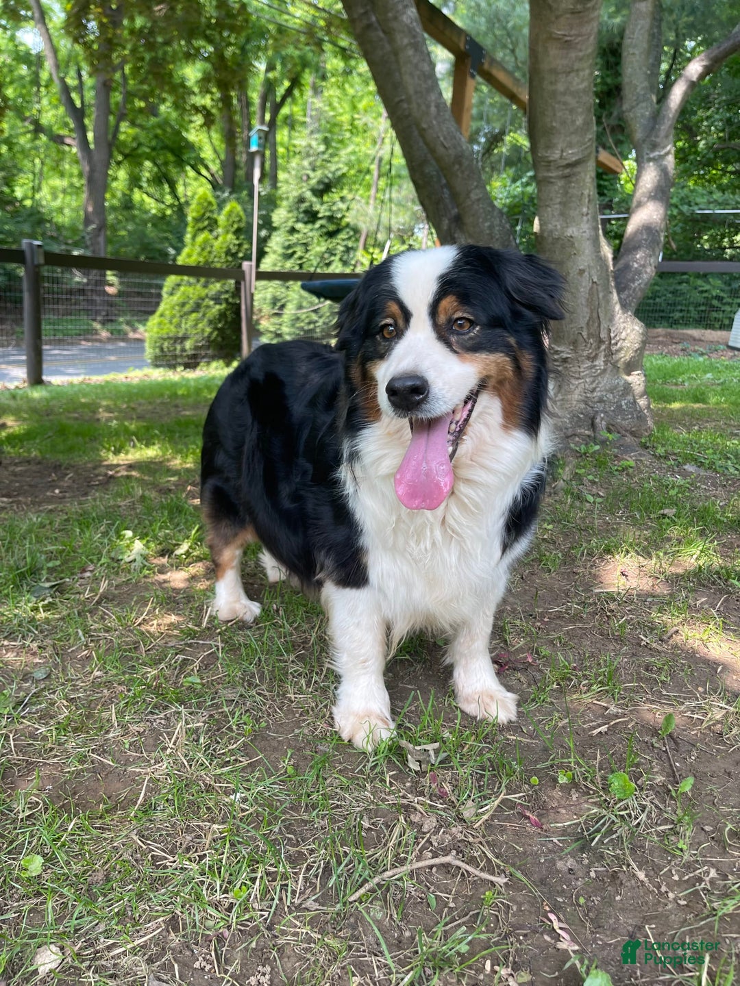 Gallery Image {{count}}