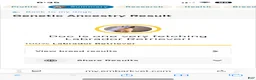 Labrador Retriever dogs for stud: This is Doc  - Ad 2