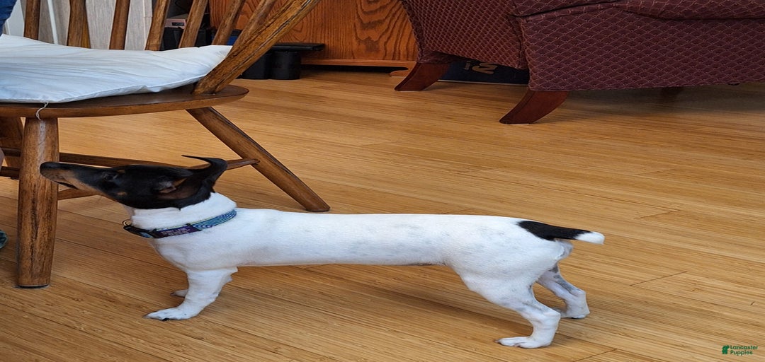 Gallery Image {{count}}