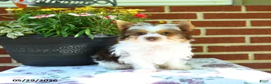 Winnie
