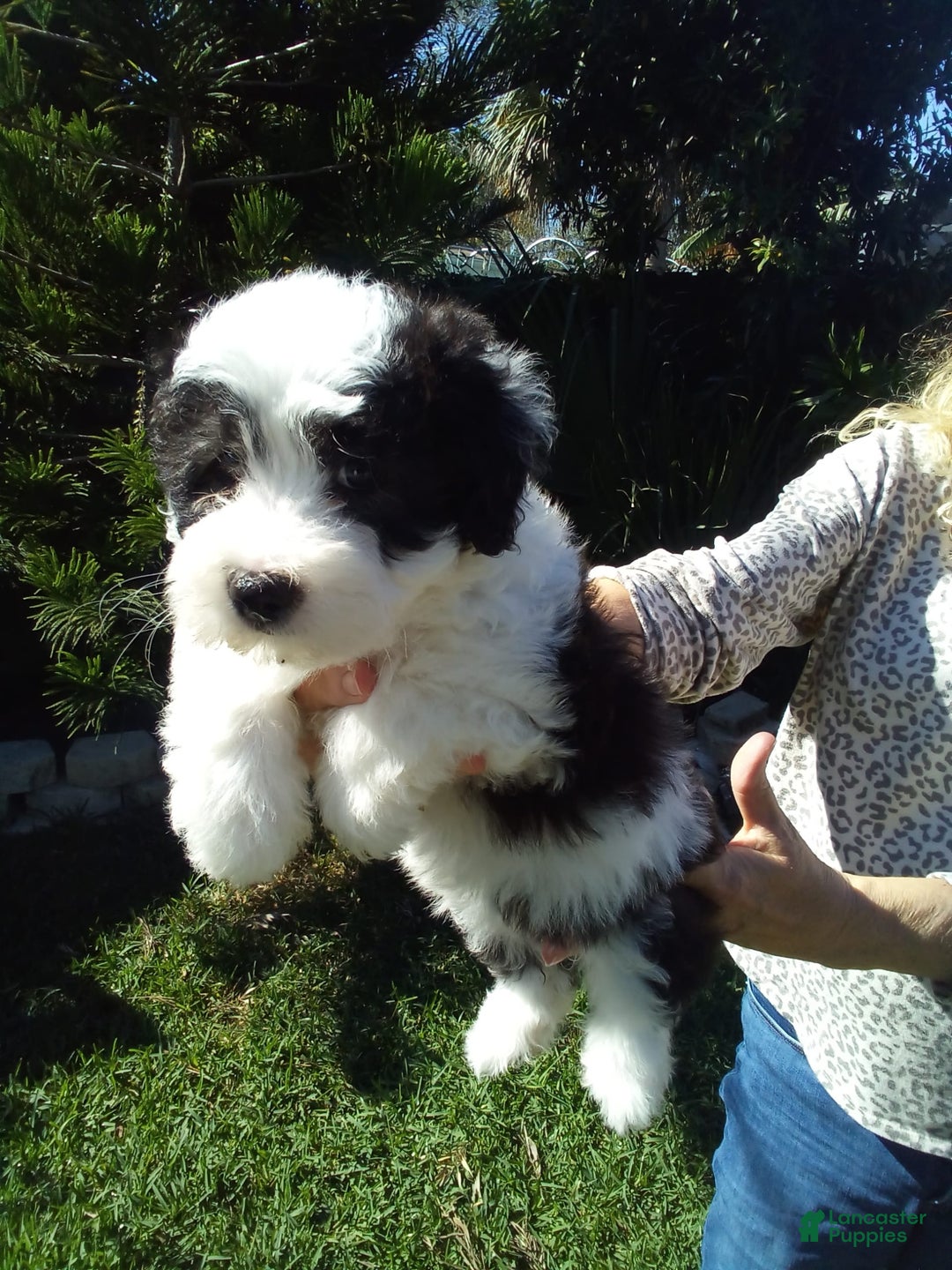 Gallery Image {{count}}