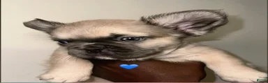 Boy 1 