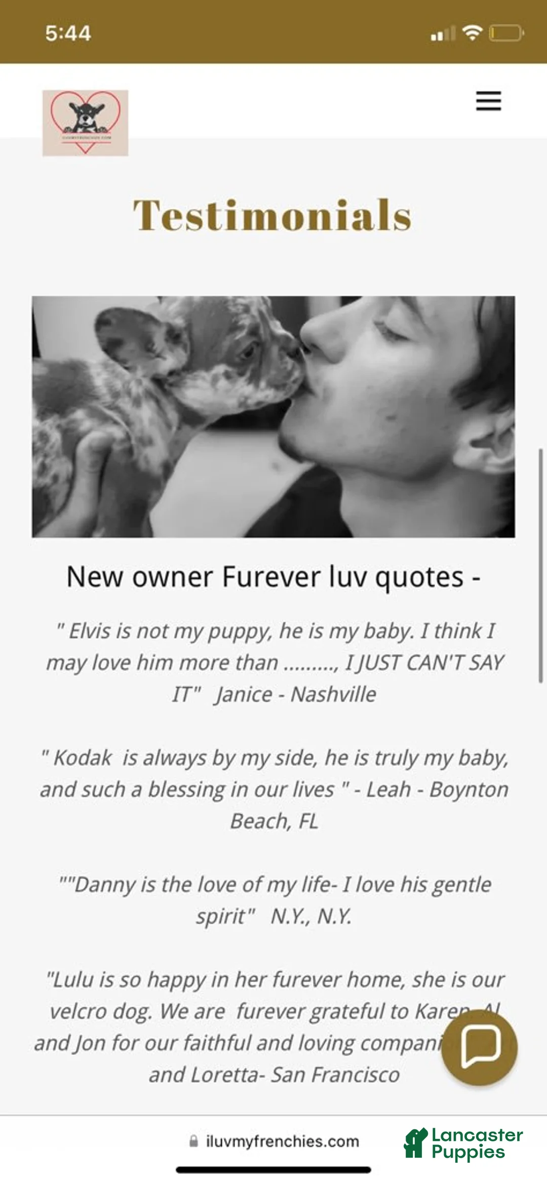 Gallery Image {{count}}