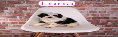 Luna