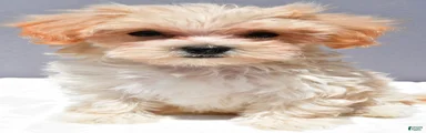 Carl