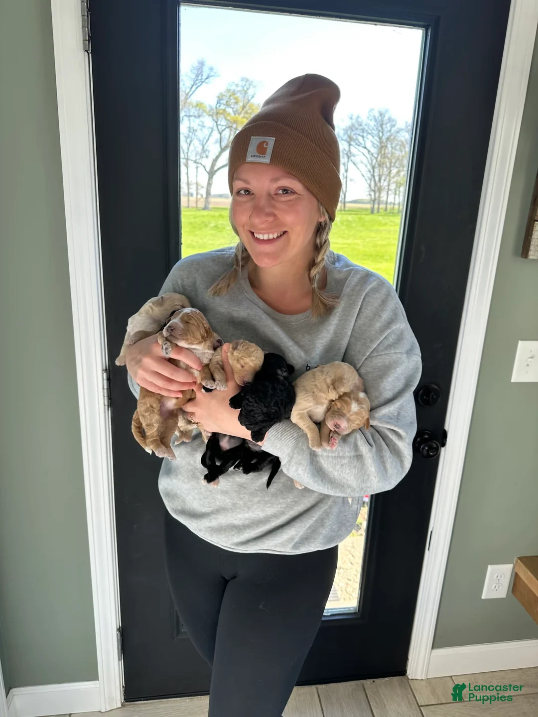 Gallery Image {{count}}