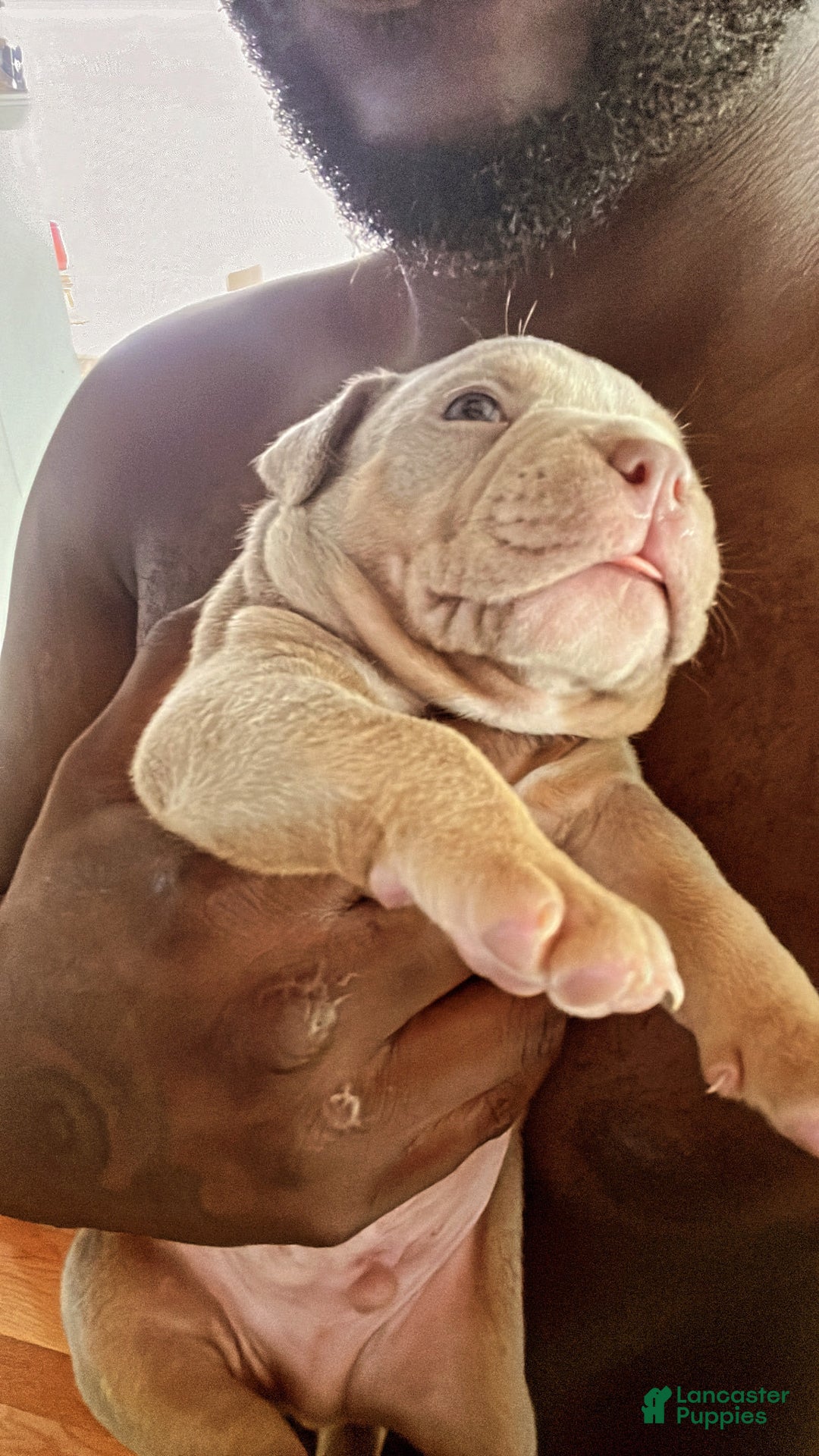 Gallery Image {{count}}