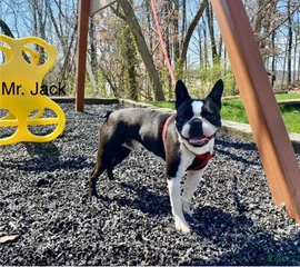 Jack