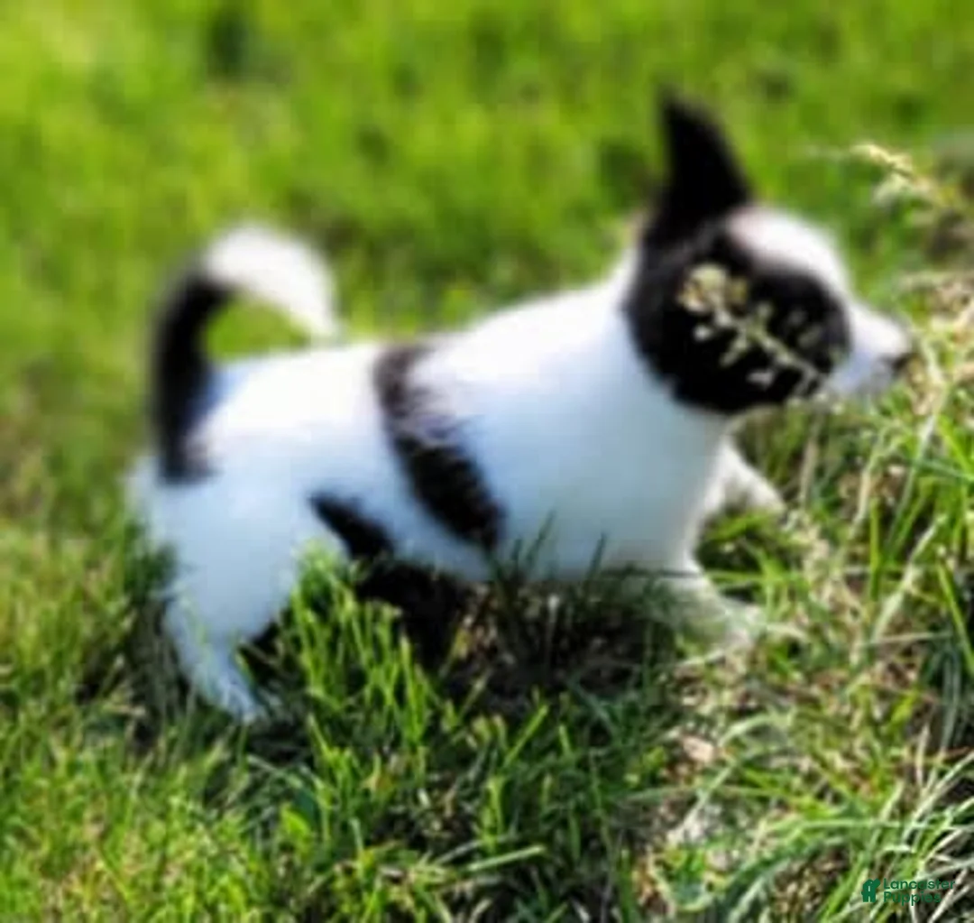 Gallery Image {{count}}