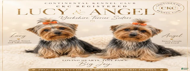 Lucy & Angel