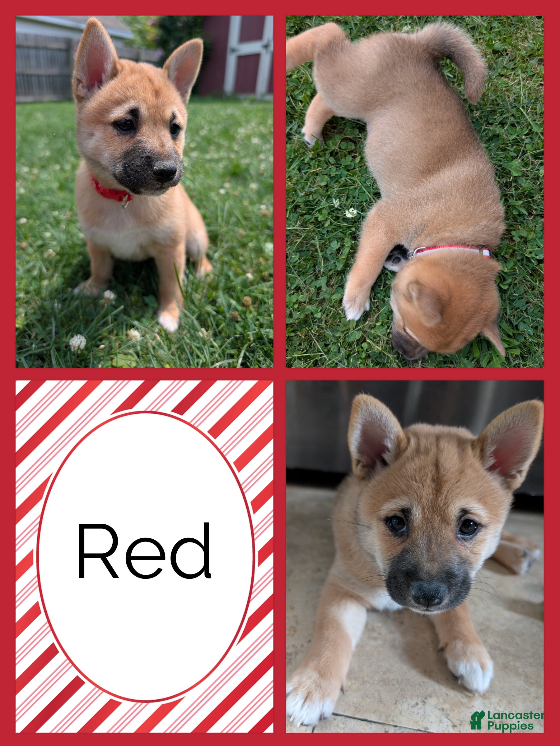 Ruby