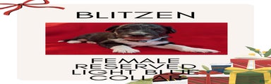 Blitzen