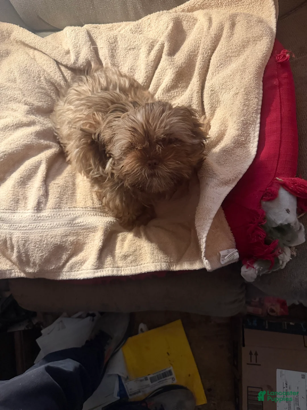 Gallery Image {{count}}