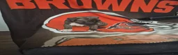 American Pit Bull Terrier dogs for sale: American Pit Bull Terrier 2 - Ad 2