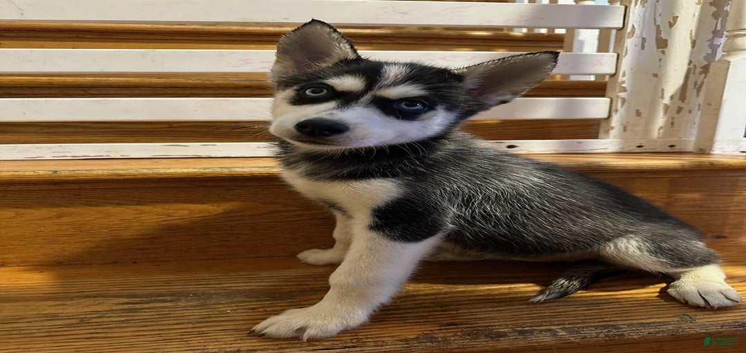 Gallery Image {{count}}