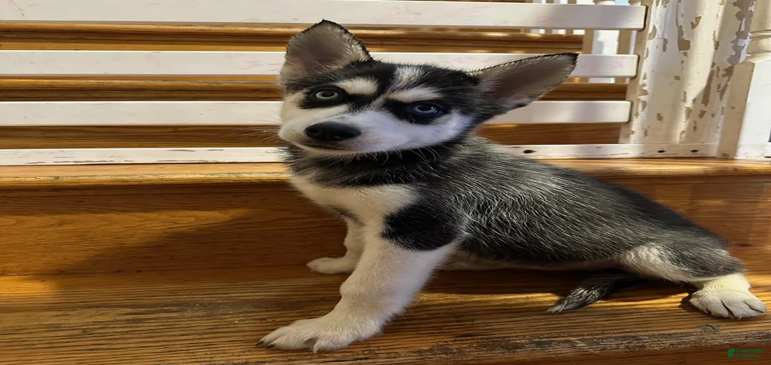 Gallery Image {{count}}