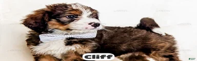 Cliff