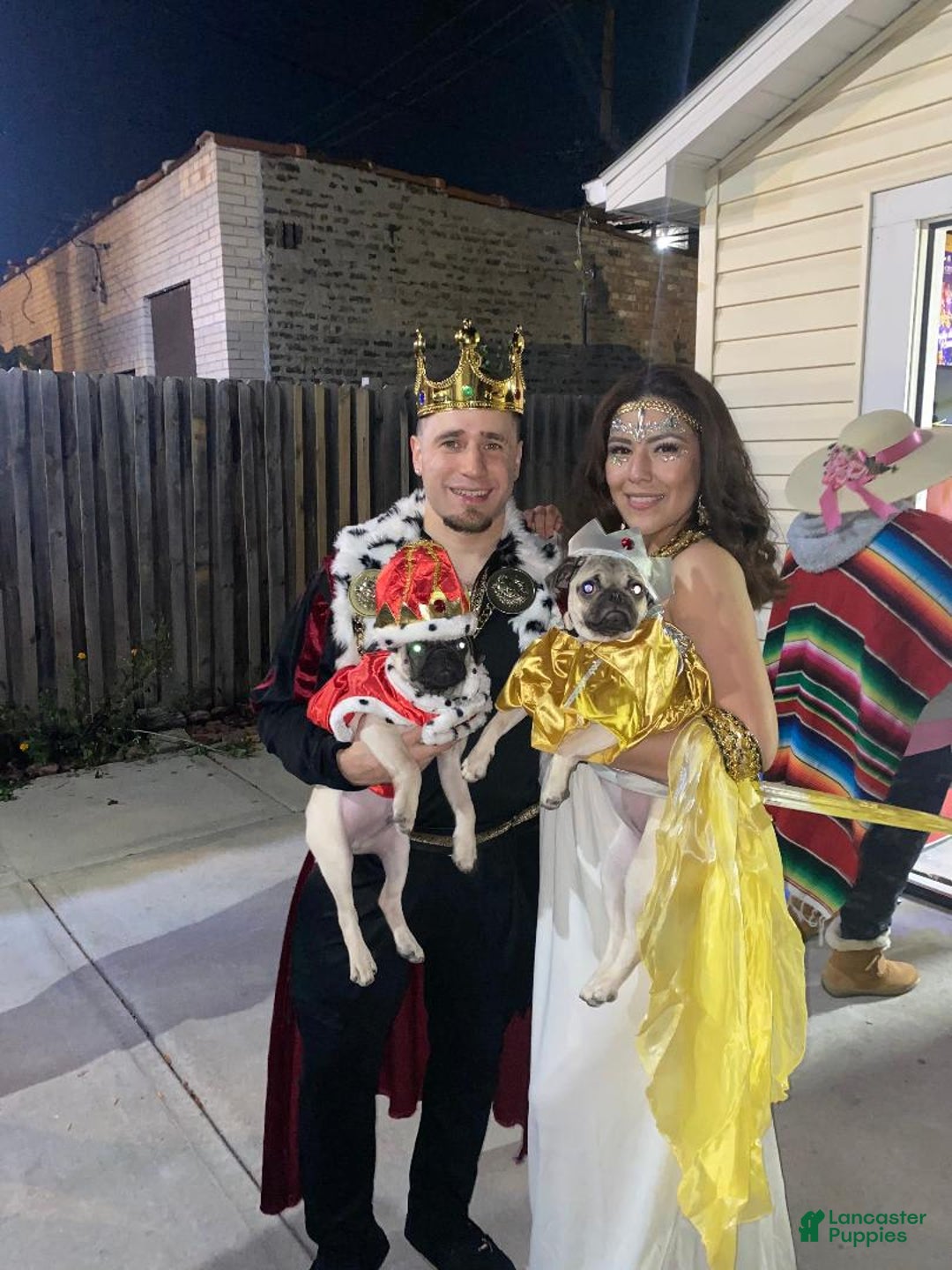 Gallery Image {{count}}