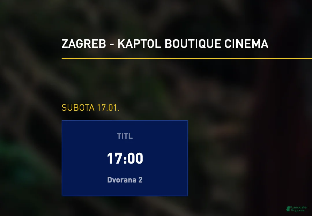 Alapaha Blue Blood Bulldog dogs for sale: Alapaha Blue Blood Bulldog Puppy 1 - Ad 2