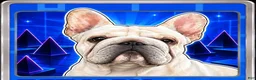 French Bulldog dogs for sale: Churro - Ad 3