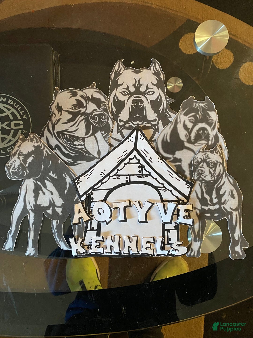 Gallery Image {{count}}