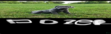 Dozer