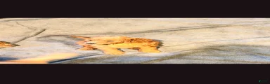 Goldendoodle 7