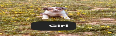 Milly