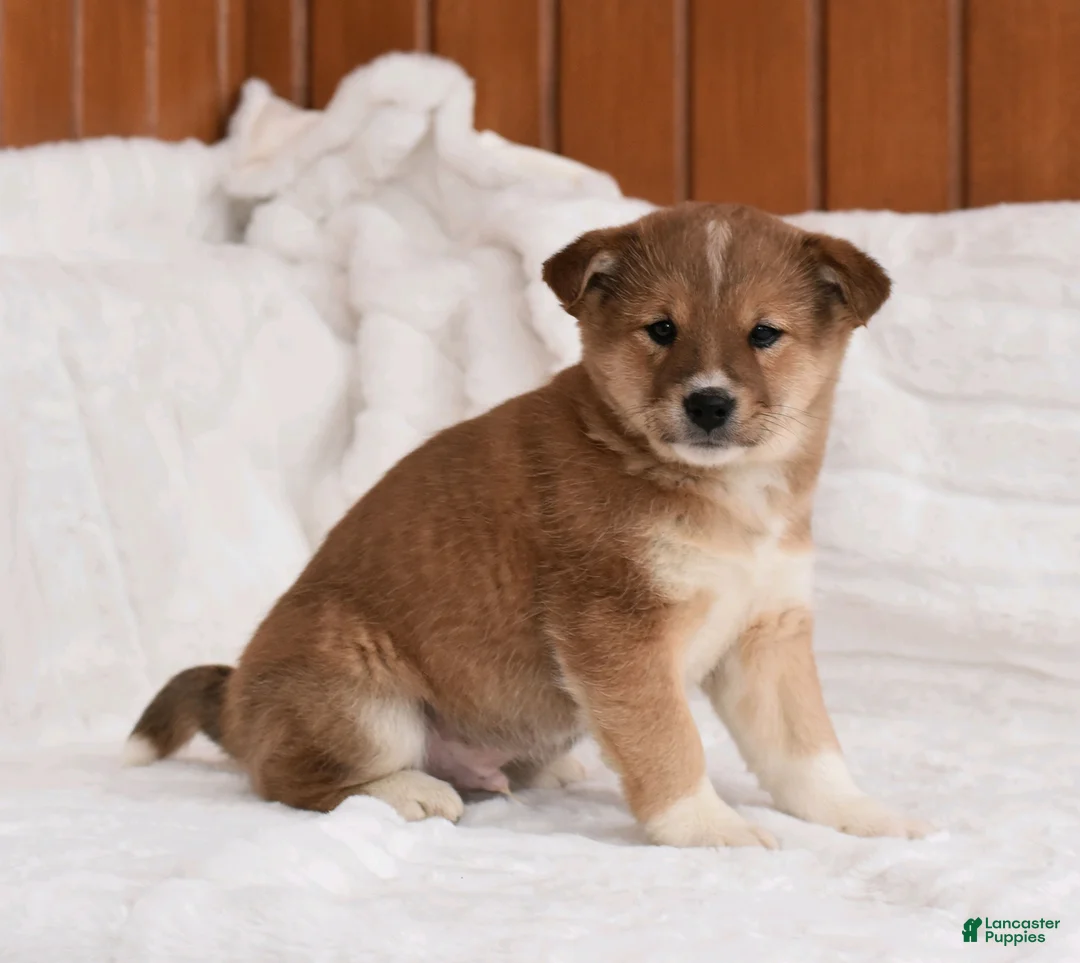 Gallery Image {{count}}