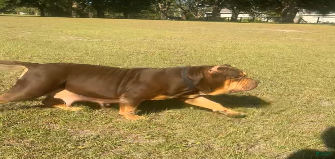 Gallery Image {{count}}