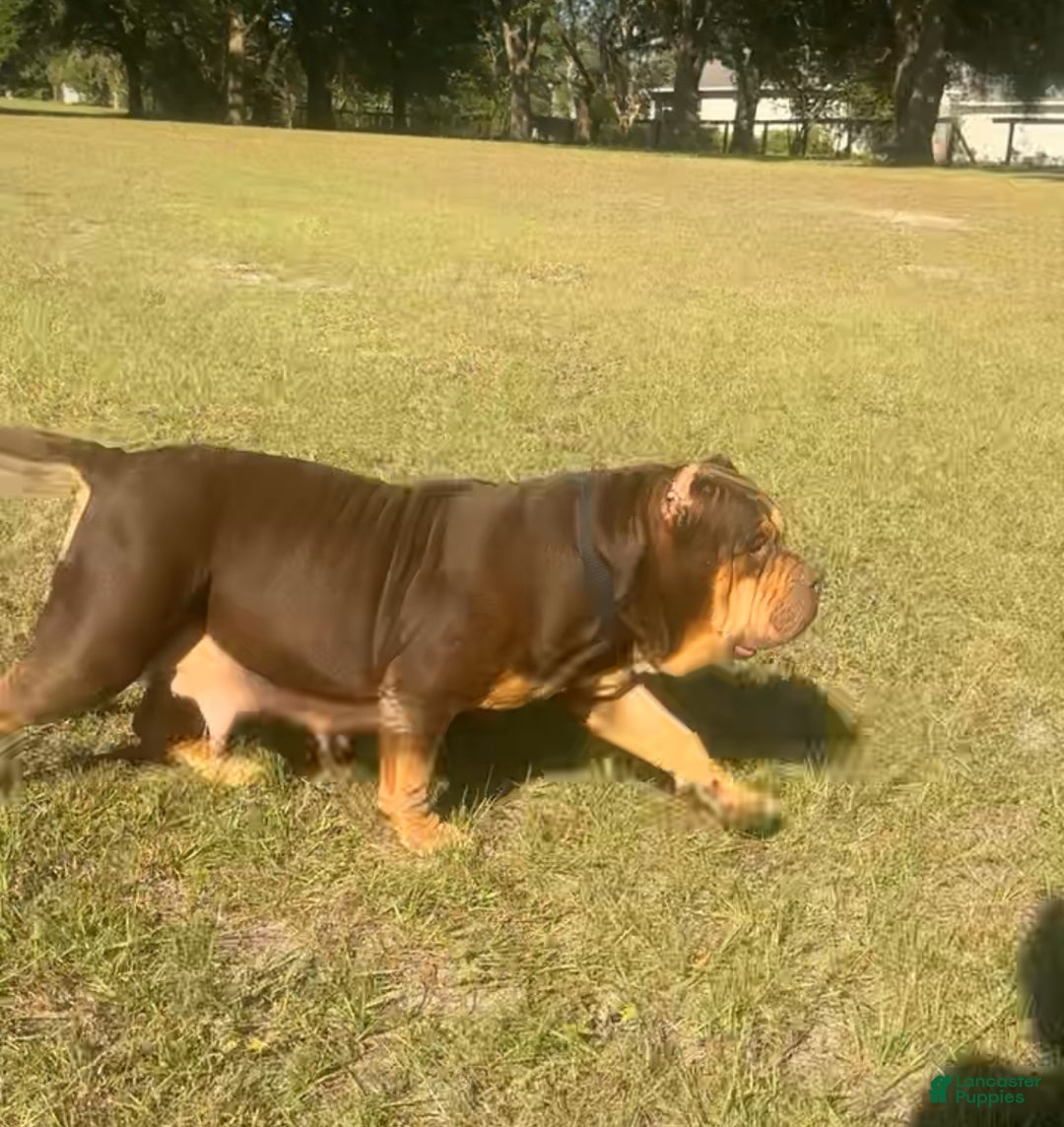 Gallery Image {{count}}