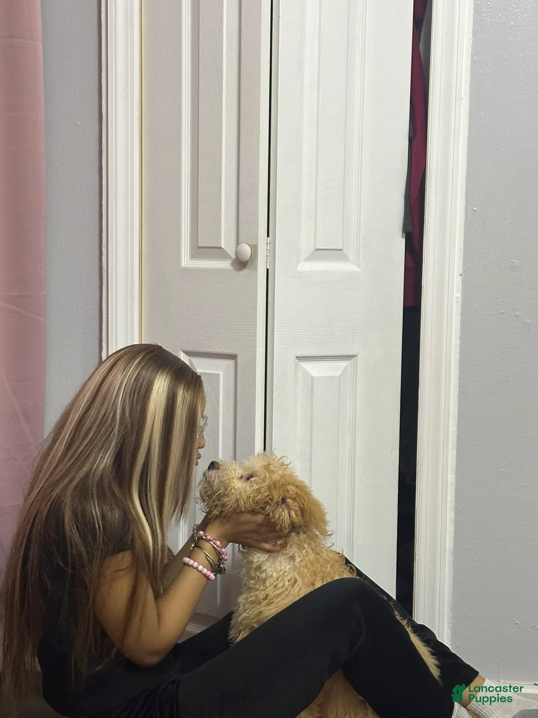 Gallery Image {{count}}