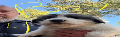 Boy 4