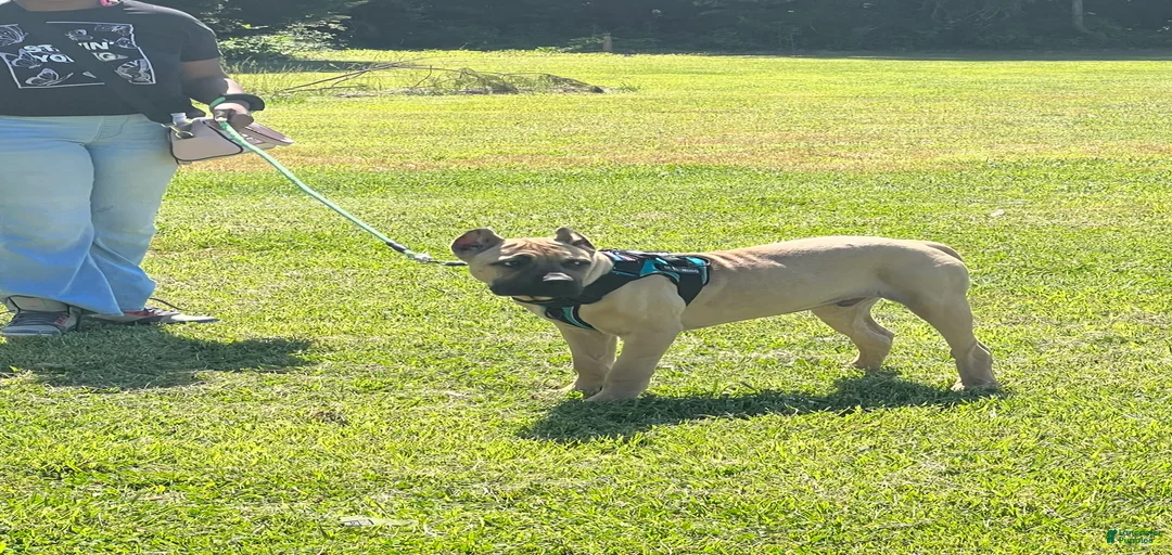 Gallery Image {{count}}