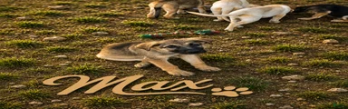 Max
