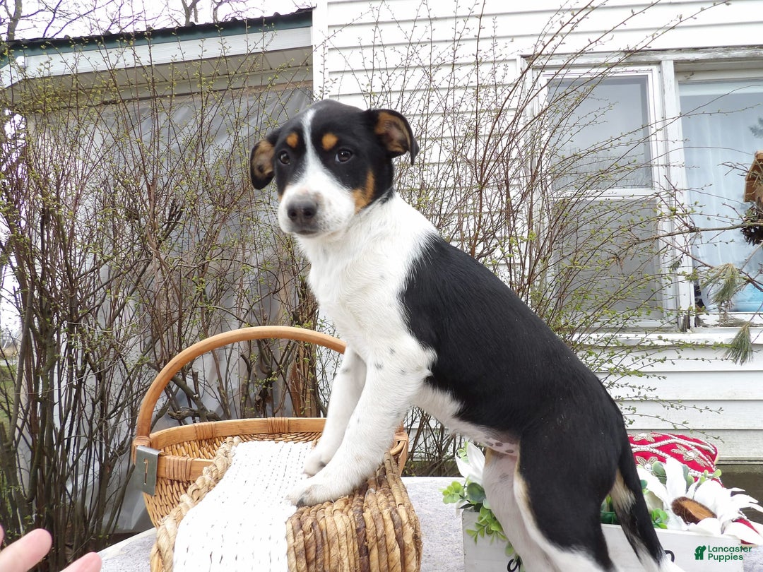 Gallery Image {{count}}