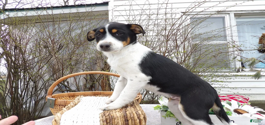 Gallery Image {{count}}