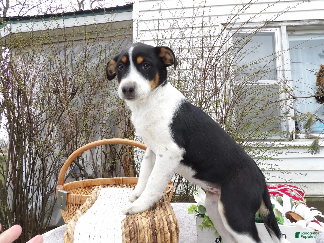 Gallery Image {{count}}