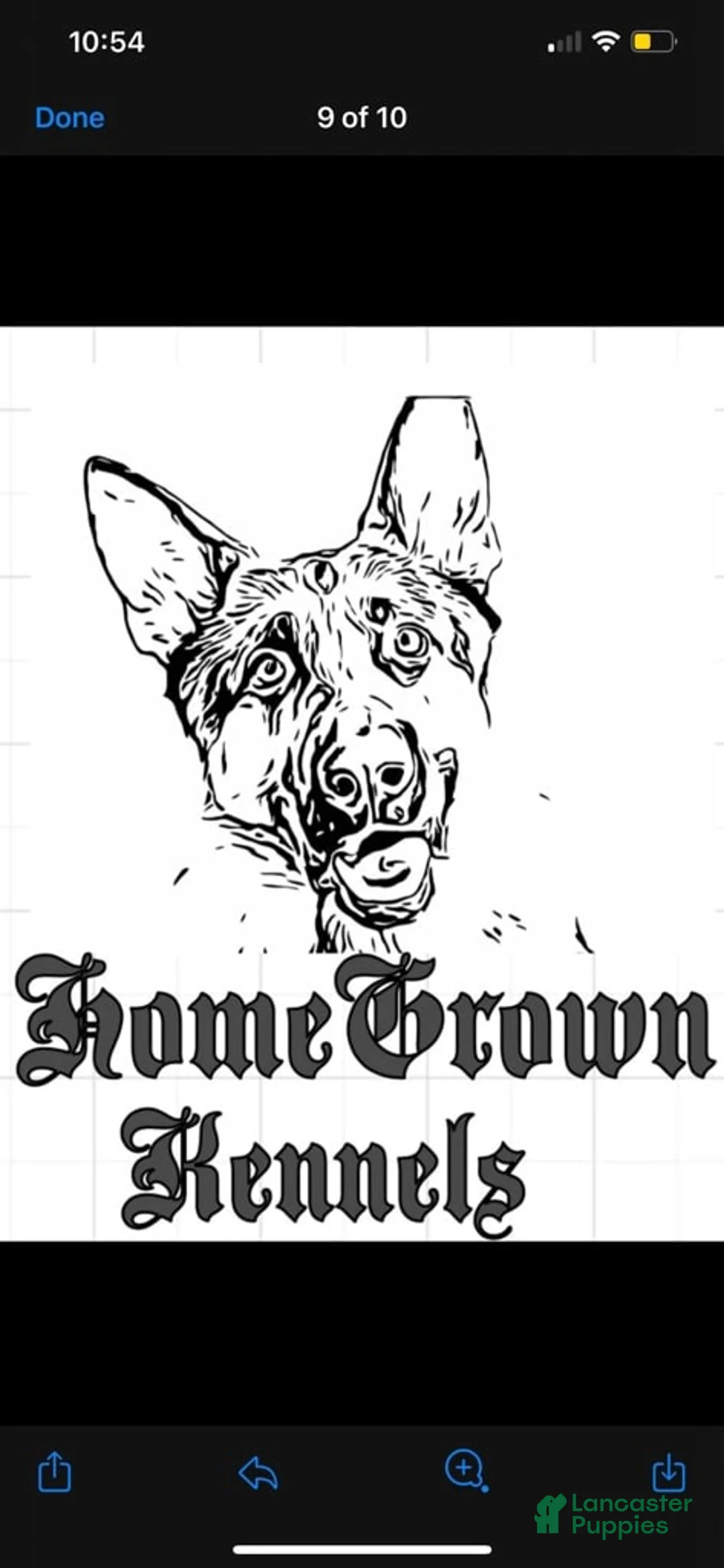 Gallery Image {{count}}