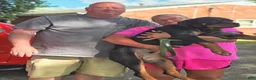 Rottweiler dogs for sale: Scarlett - Ad 8