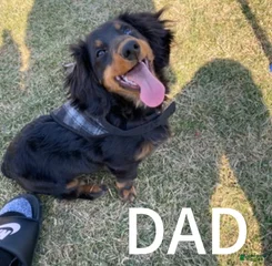 Milo