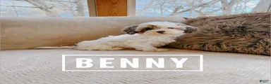 Benny