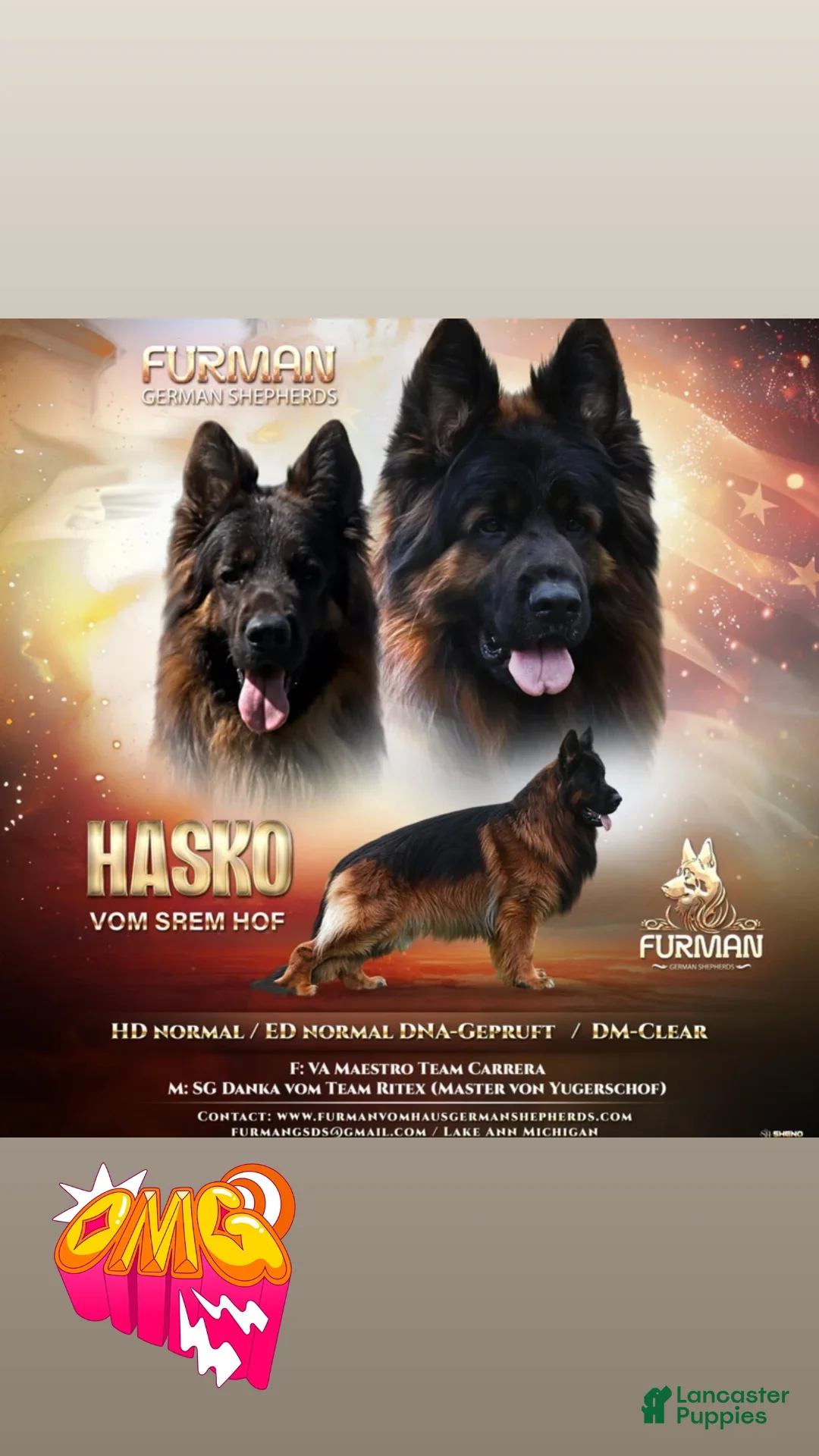 Hasko 