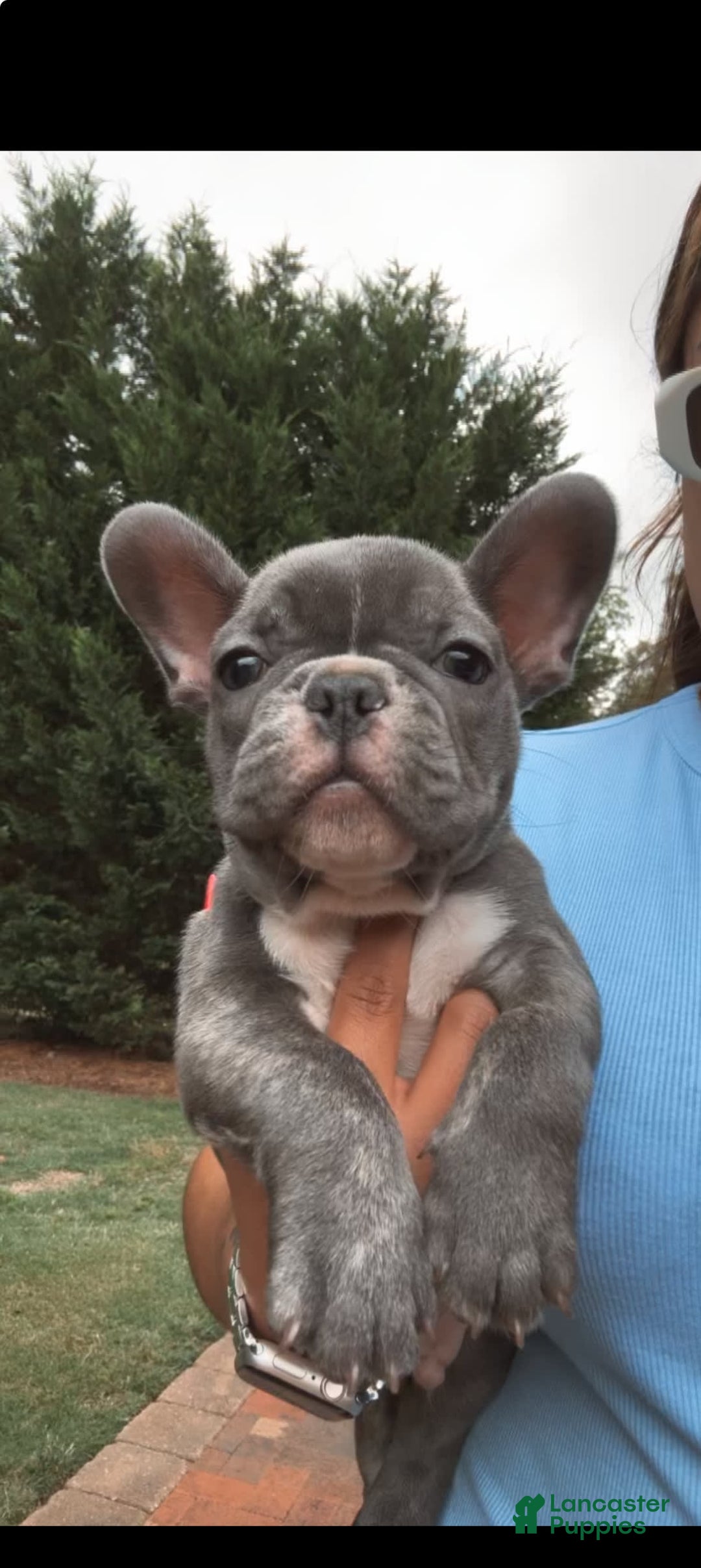 Gallery Image {{count}}