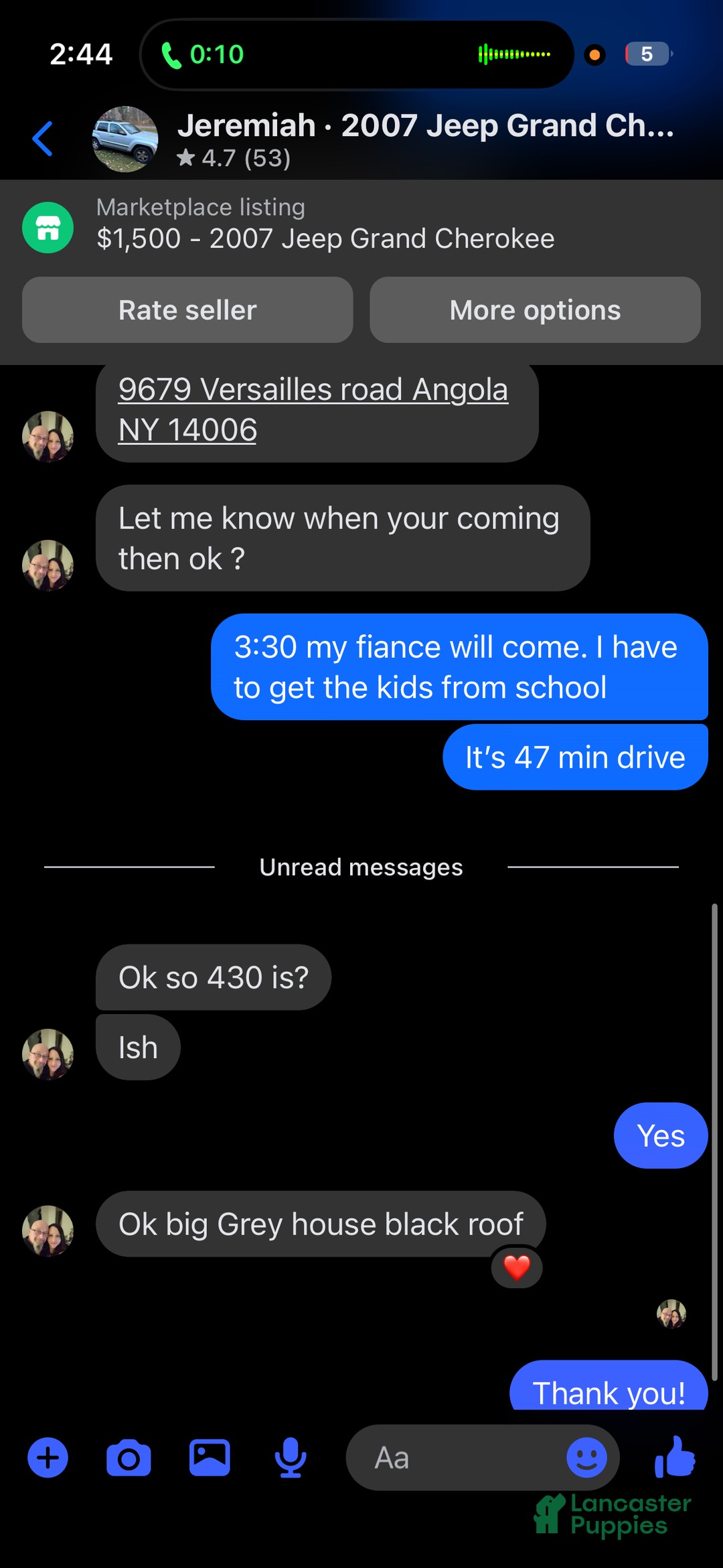 American Bully dogs for sale: Milli - Ad 7