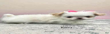 Kimi
