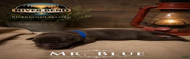 Mr. Blue
