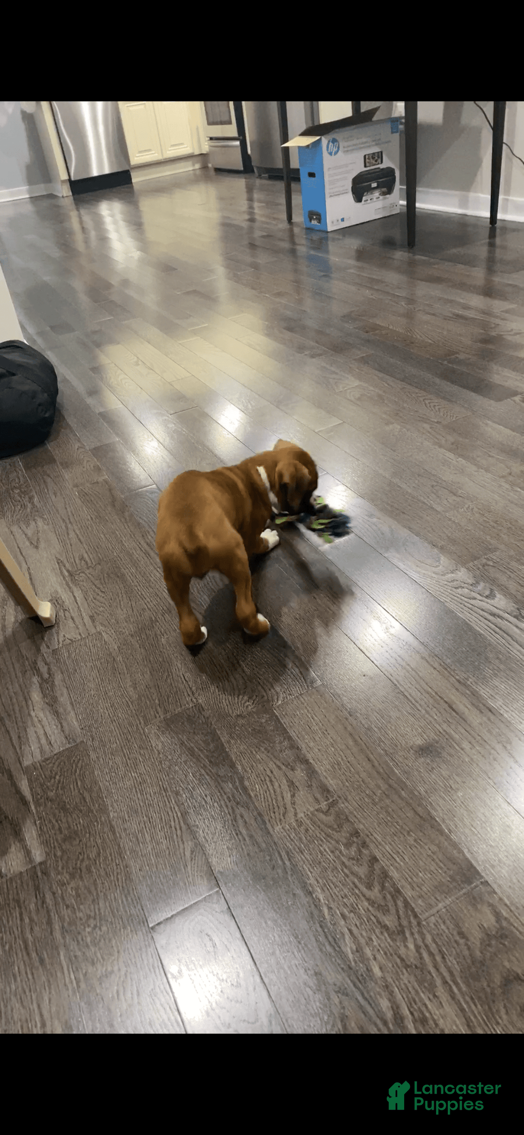 Gallery Image {{count}}