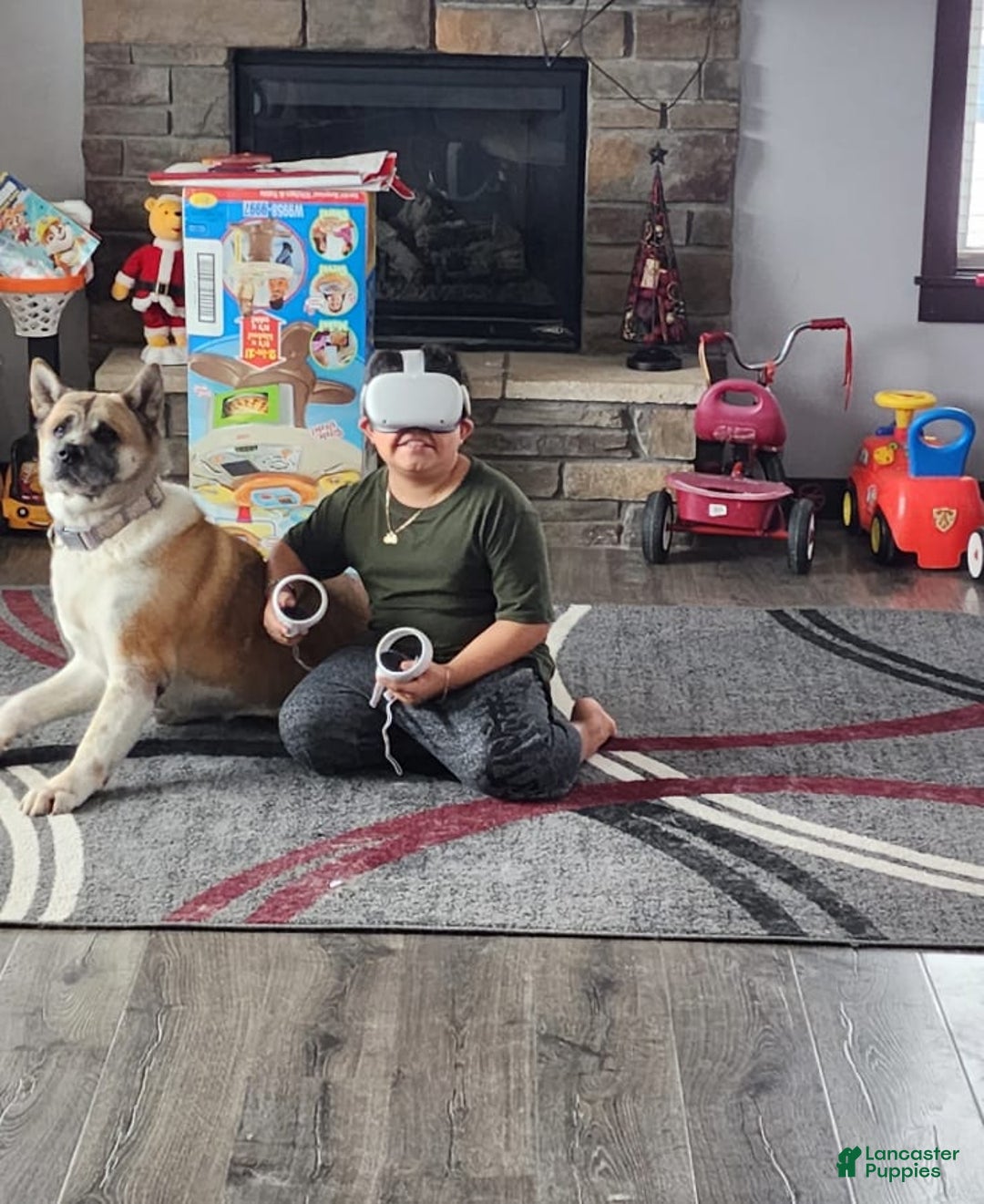 Gallery Image {{count}}